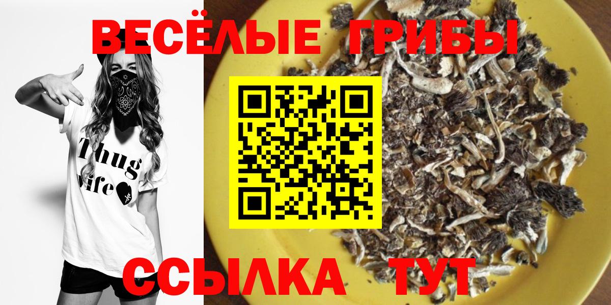 Галлюциногенные грибы Psilocybe Красноармейск