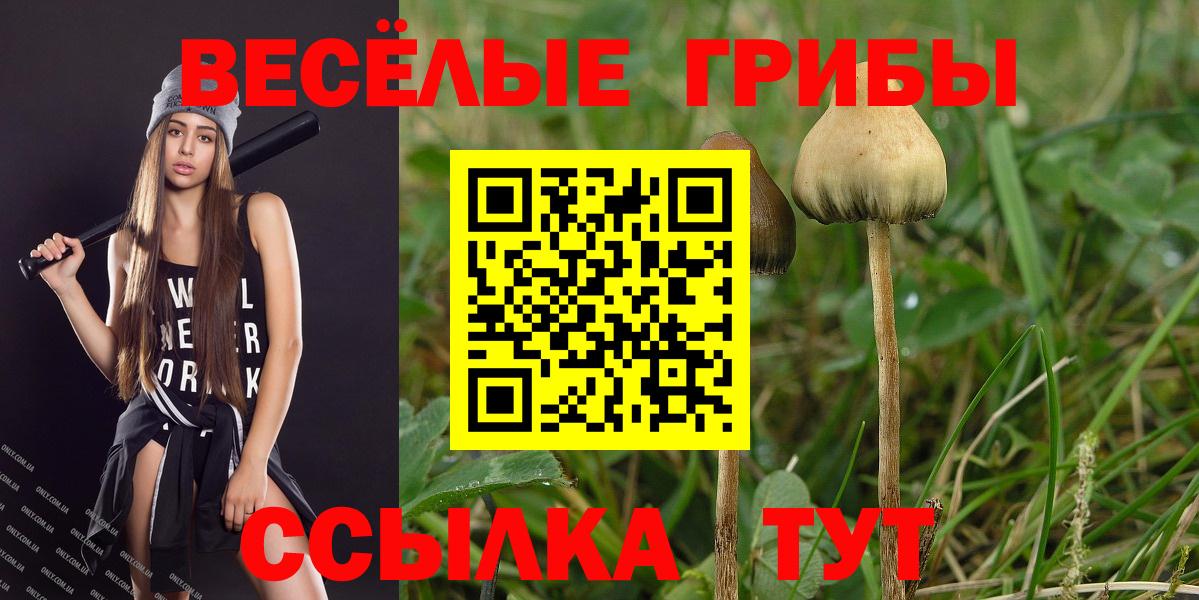 Псилоцибиновые грибы Красноармейск
