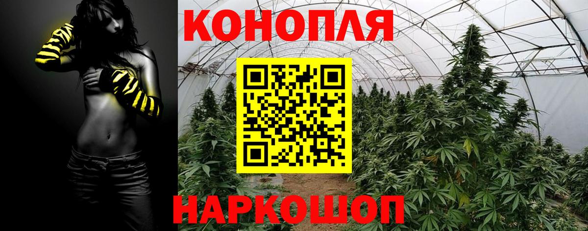 Красноармейск  Бошки марихуана гибрид  Бошки марихуана Bruce Banner  Конопля конопля  Конопля Amnesia  Вход с VPN 